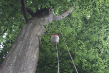 53_gc_stammtisch_73_20150506